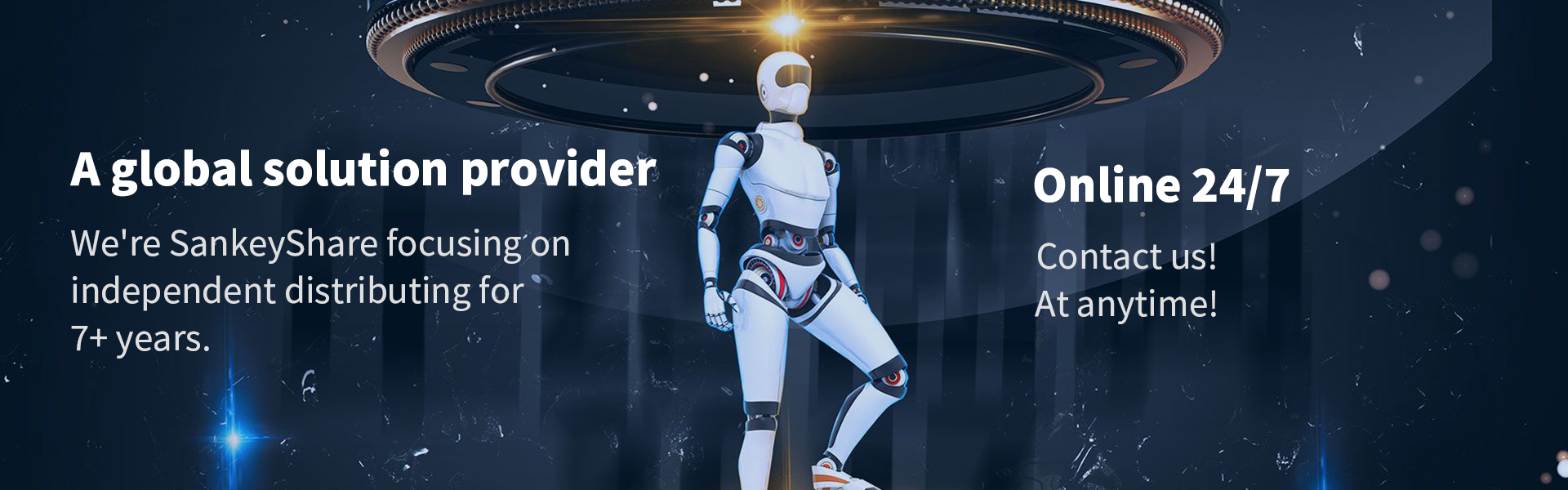 Sankey Share Co., Limited